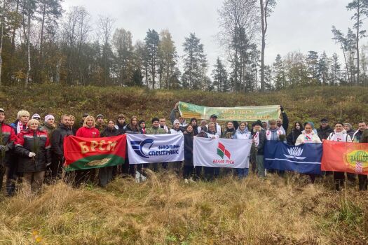 Дай лесу новае жыццё! Добрая традиция продолжается